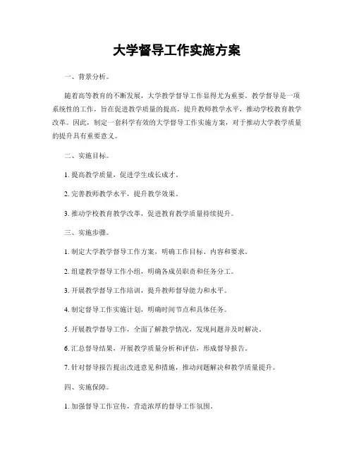 大学督导工作实施方案