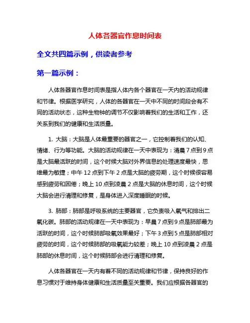 人体各器官作息时间表