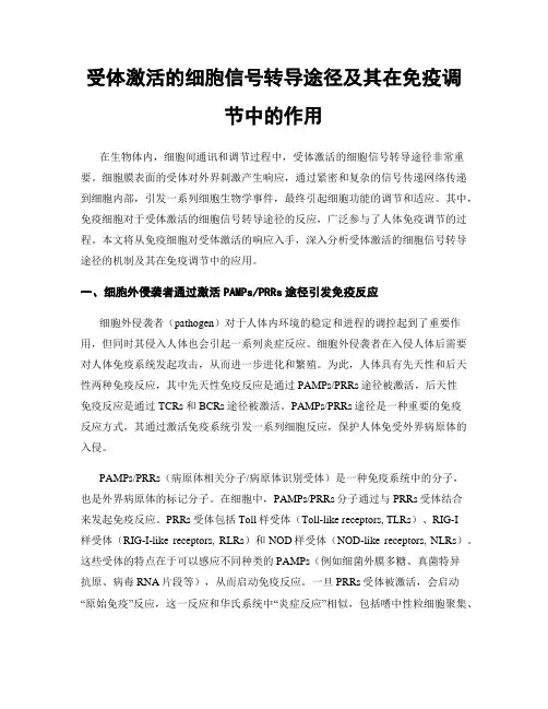 受体激活的细胞信号转导途径及其在免疫调节中的作用