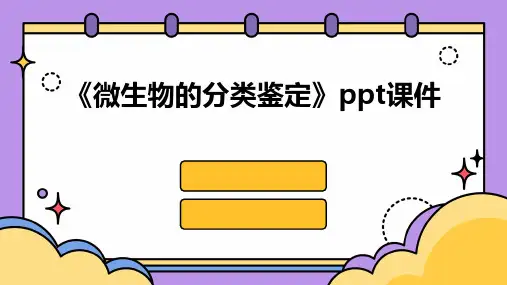 《微生物的分类鉴定》课件