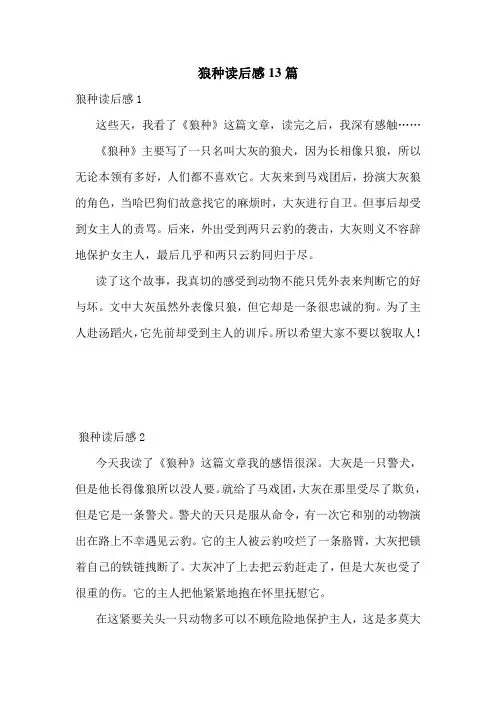狼种读后感13篇