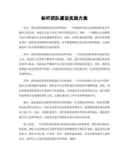 标杆团队建设实施方案