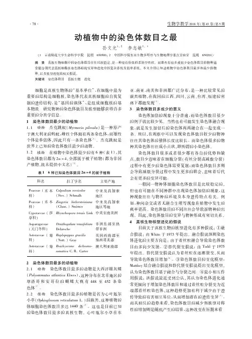 动植物中的染色体数目之最