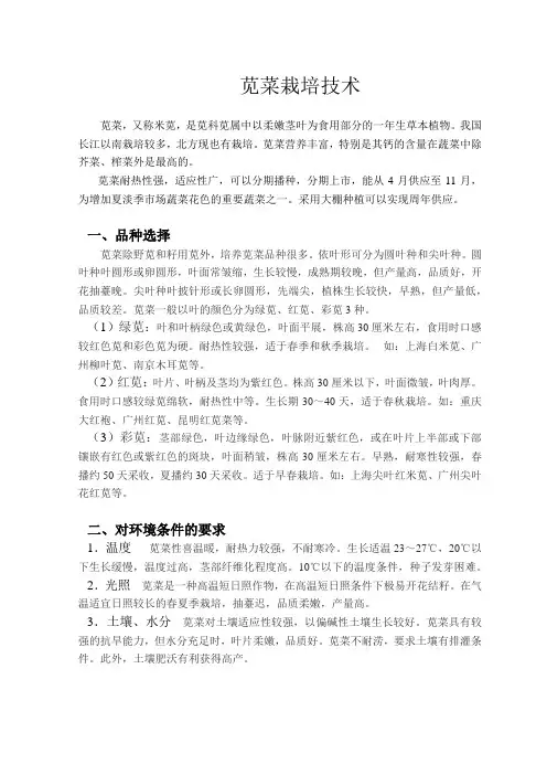 苋菜栽培技术