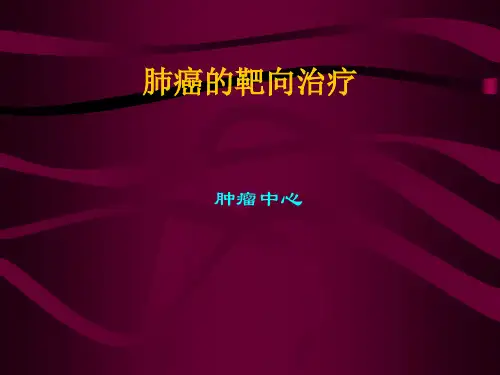 肺癌的靶向治疗PPT课件