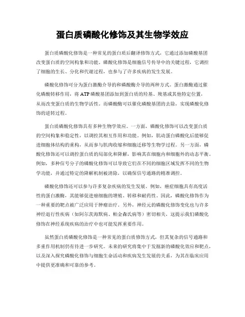 蛋白质磷酸化修饰及其生物学效应