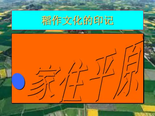人教版七年级历史与社会上册3.1.1《稻作文化的印记》(共16张PPT)