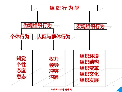 群体心理与行为分析