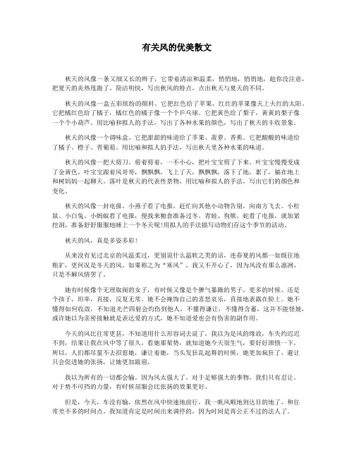 有关风的优美散文