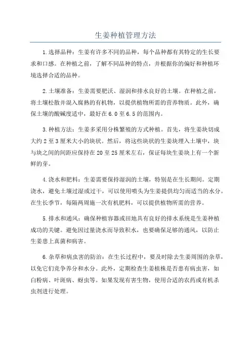 生姜种植管理方法