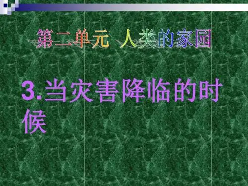 当灾害降临的时候ppt