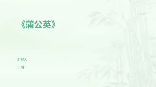 《蒲公英》