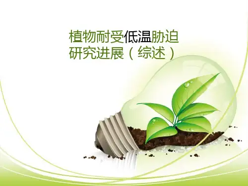 植物耐受低温胁迫