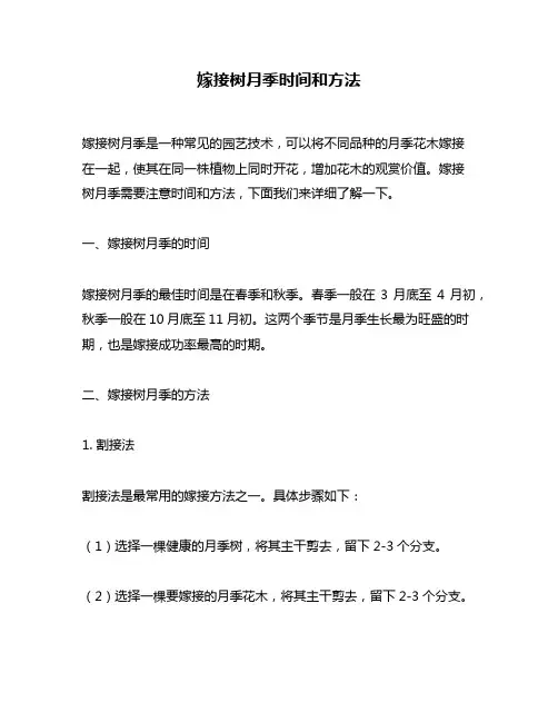 嫁接树月季时间和方法