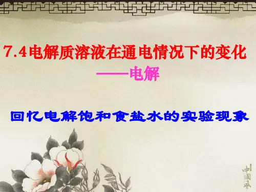 电解质溶液在通电情况下的变化
