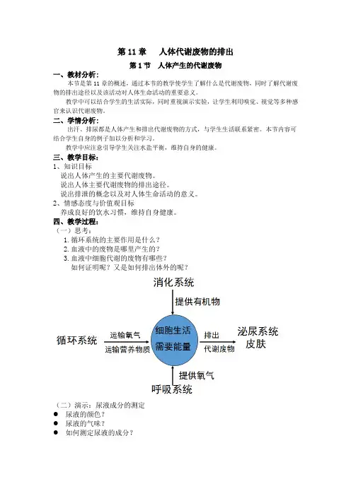 北师大版七年级生物下册《  第十一章 人体代谢废物的排出  第1节 人体产生的代谢废物》公开课教案_5