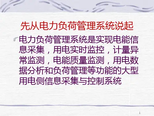 负荷控制和管理系统