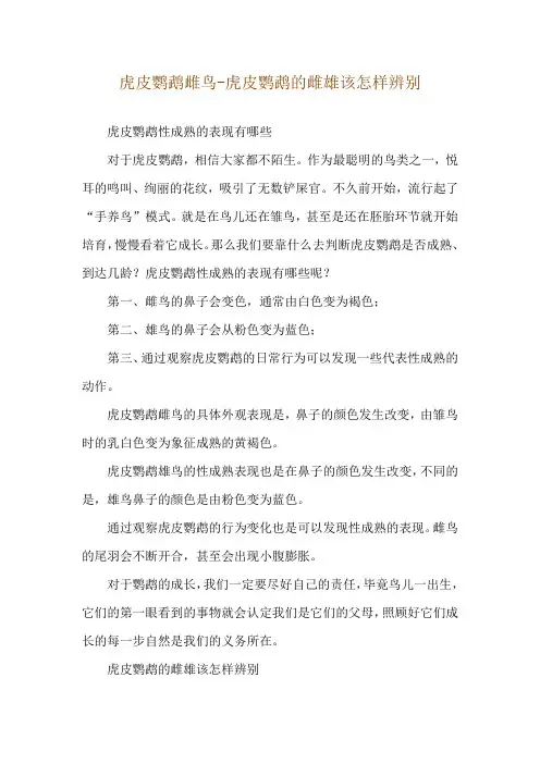 虎皮鹦鹉雌鸟-虎皮鹦鹉的雌雄该怎样辨别