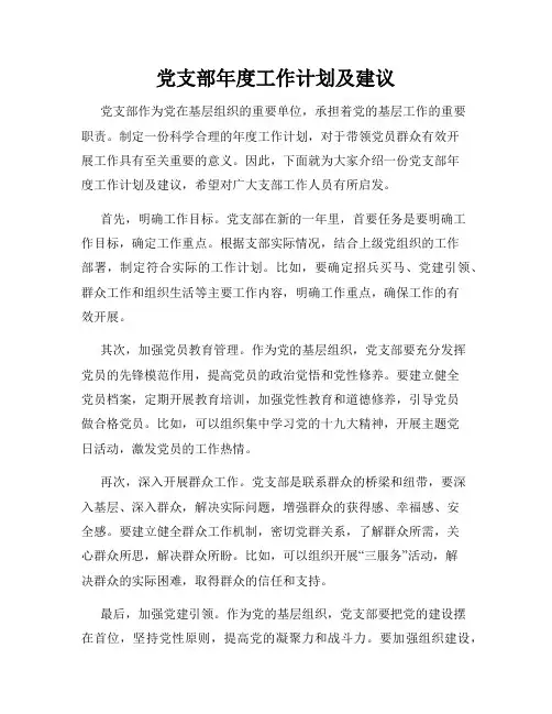 党支部年度工作计划及建议