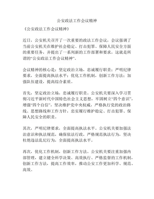 公安政法工作会议精神