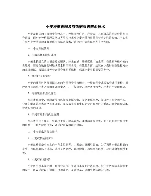 小麦种植管理及有效病虫害防治技术