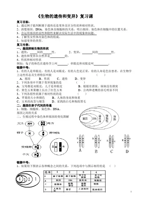 生物的遗传和变异(复习课)