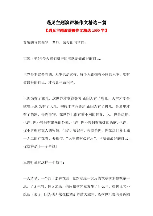 遇见主题演讲稿作文精选三篇