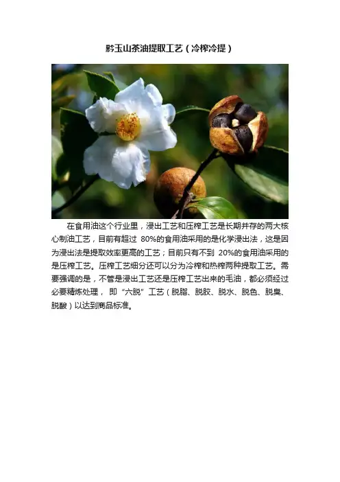 黔玉山茶油提取工艺（冷榨冷提）