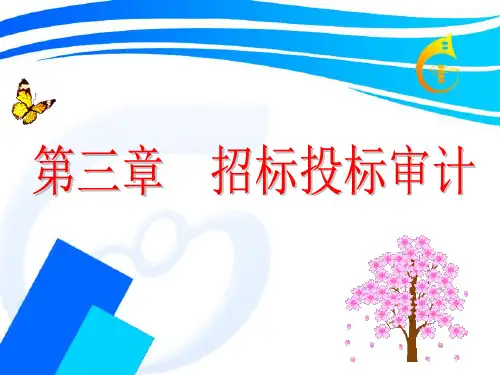 固定资产投资审计第一讲(第三章1)