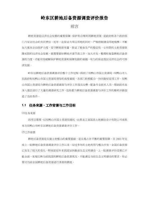 岭东区耕地后备资源调查评价报告
