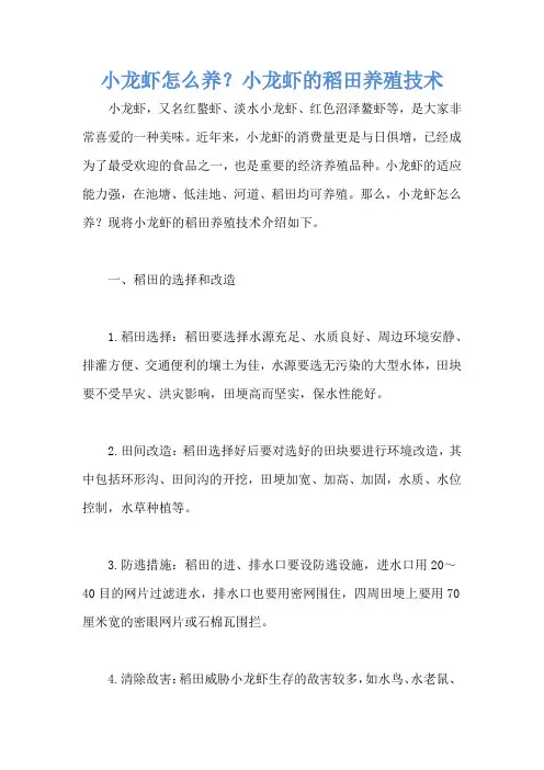 小龙虾怎么养？小龙虾的稻田养殖技术