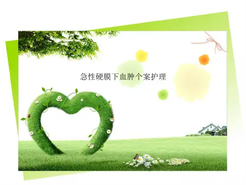 急性硬膜下血肿个案护理