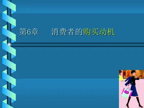 第6章消费者的购买动机