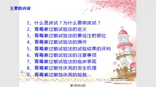 青霉素的皮试PPT课件
