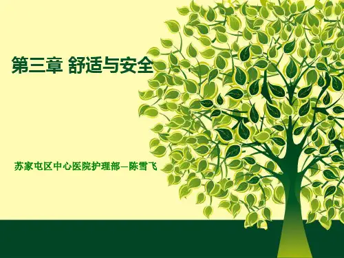 第三章  舒适与安全护理