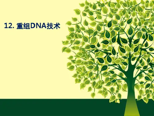 DNA重组技术