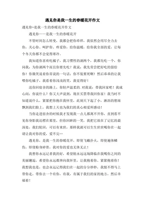 遇见你是我一生的春暖花开作文