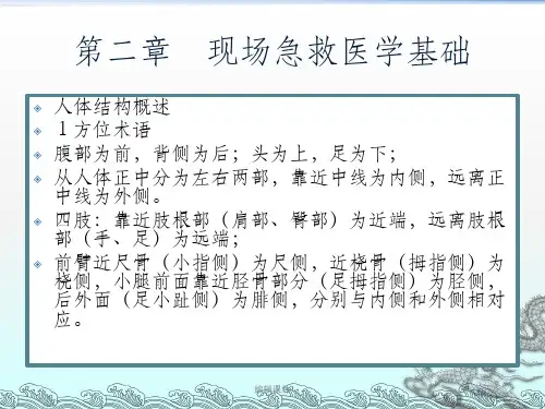 现场急救与创伤评估