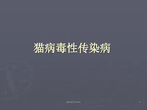 2猫病毒性传染病-2012
