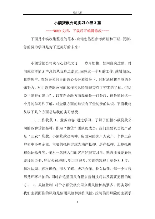 小额贷款公司实习心得3篇