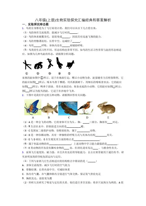 八年级(上册)生物实验探究汇编经典和答案解析[006]