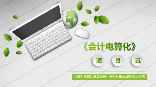 会计电算化(项目五)PPT