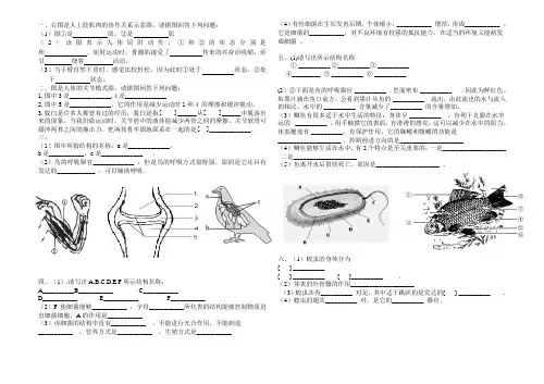 人教版生物八年级上册识图题专题复习