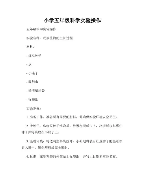 小学五年级科学实验操作