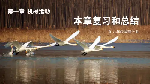 人教版八年级上册物理第一章机械运动本章复习和总结课件