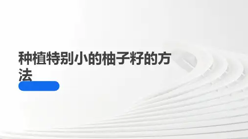 种植特别小的柚子籽的方法