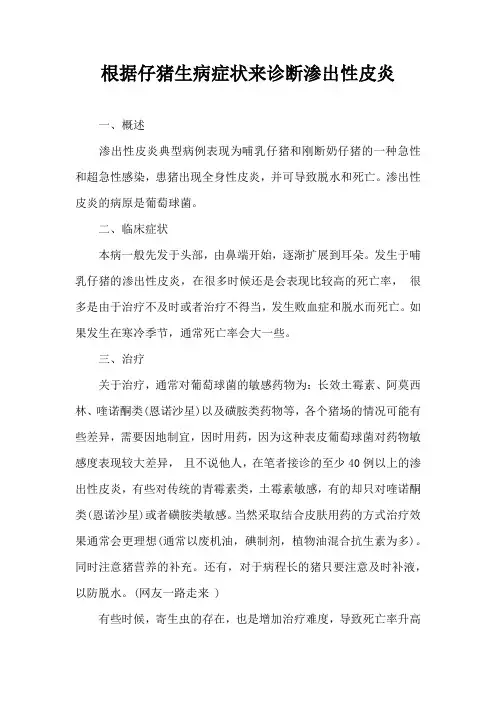 根据仔猪生病症状来诊断渗出性皮炎
