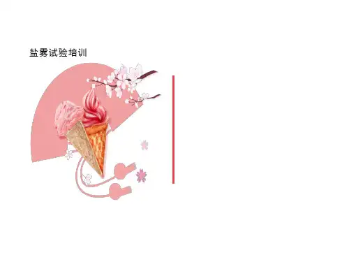 盐雾试验培训