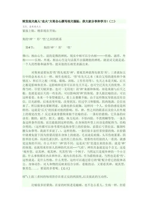 转发相犬高人“走火”大哥全心撰写相犬强贴,供大家分享和学习!(二)