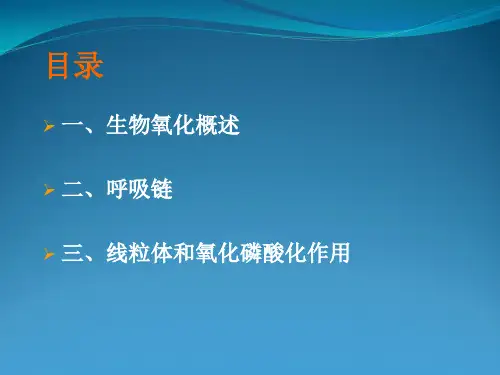 生物化学课件24 生物氧化